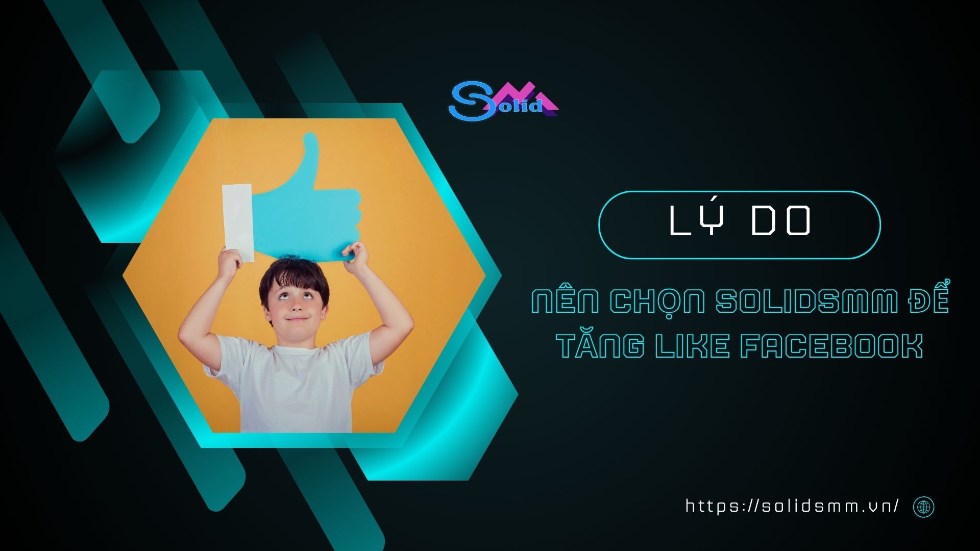 Lý do nên chọn SolidSMM để tăng like facebook